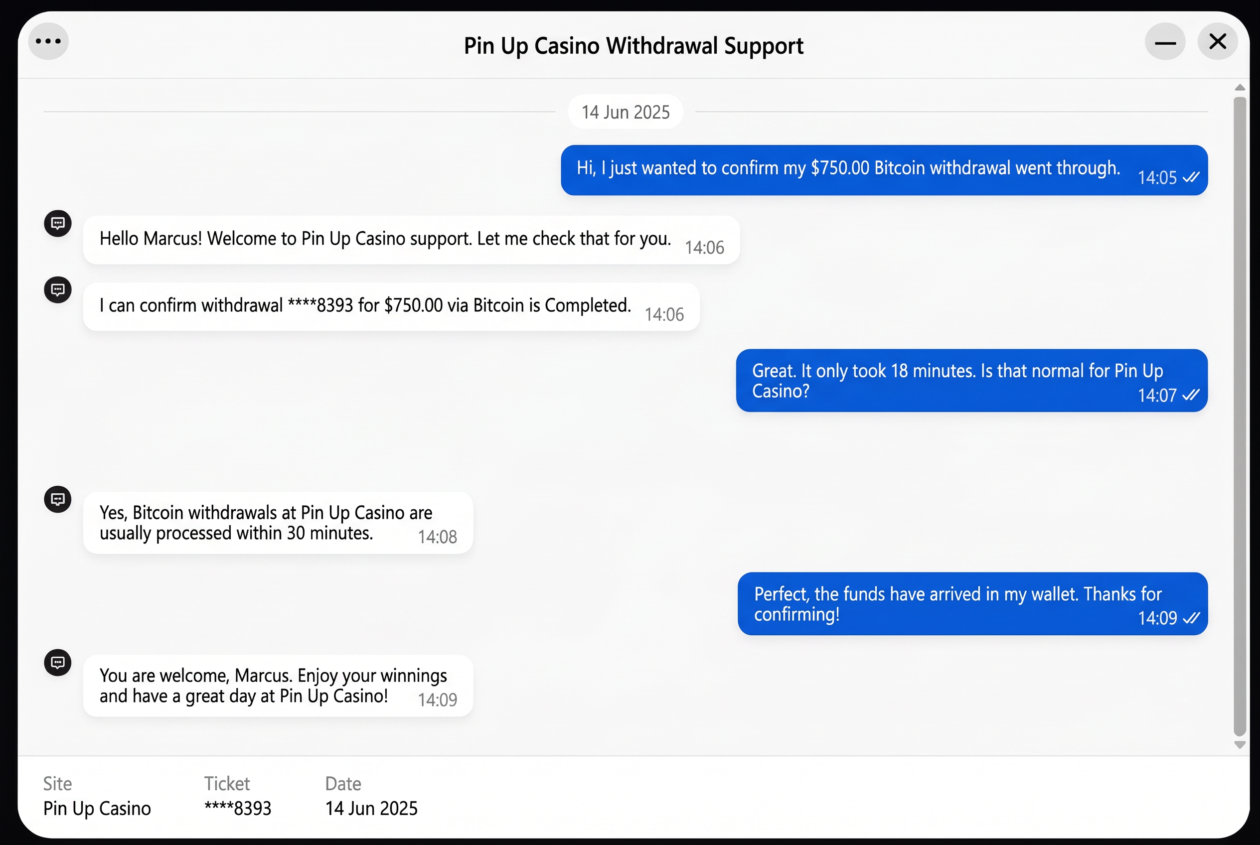 Customer support chat screenshot